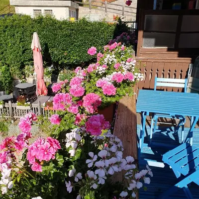Ein Garten an der Unterkunft Auberge Restaurant les Aiguilles Rouges