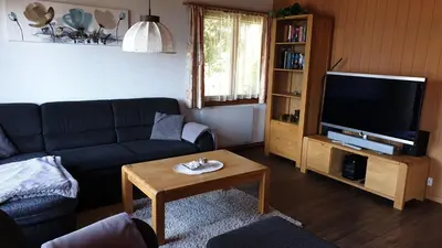 TV/Unterhaltungsangebot in der Unterkunft Chalet Hinkelstein in Beatenberg traumhafte Aussicht auf Eiger, Mönch & Jungfrau