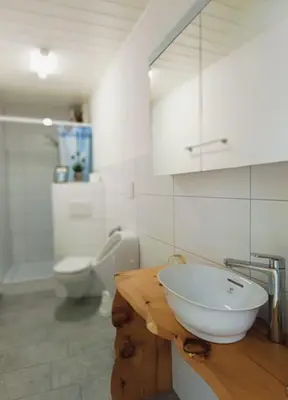 Ein Badezimmer in der Unterkunft Casa Jenini - Wohnung im Patrizierhaus neben Schloss Leuk