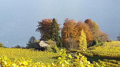Naturlandschaft in der Nähe des Privatzimmers