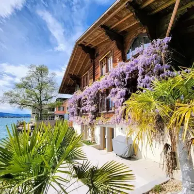 Traumwohnung direkt am Thunersee