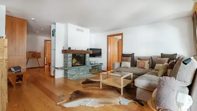 TV/Unterhaltungsangebot in der Unterkunft Haus Malva by Zermatt Premium Apartments