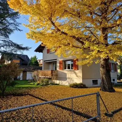 Swiss Chalet direkt am Thunersee
