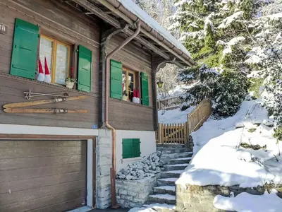 Holiday Home Chalet Tannengüetli by Interhome im Winter