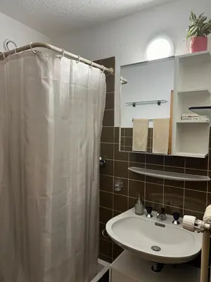 Ein Badezimmer in der Unterkunft Ski-in Ski-out 4, mountain view