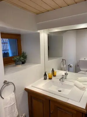 Ein Badezimmer in der Unterkunft La Grande Majorie de Nendaz