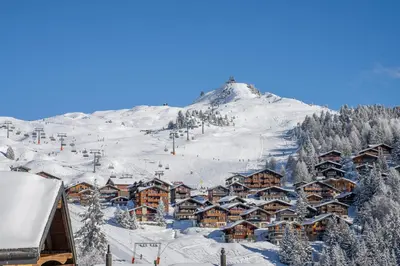 Chalet Onno Henny im Winter