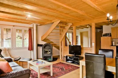 TV/Unterhaltungsangebot in der Unterkunft Delightful 4star Chalet Kiwi Apt
