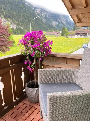 Ein allgemeiner Bergblick oder ein Berglick von der Ferienwohnung aus