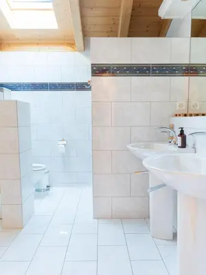 Ein Badezimmer in der Unterkunft Orion - Luxuriöse Duplex Wohnung in Grindelwald