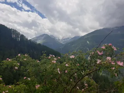 Naturlandschaft in der Nähe der Ferienwohnung