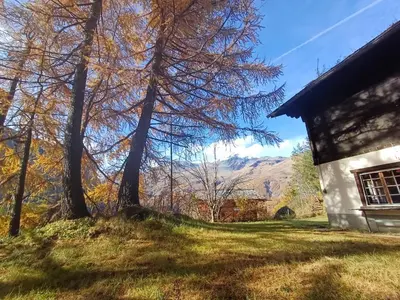 Naturlandschaft in der Nähe des Chalets