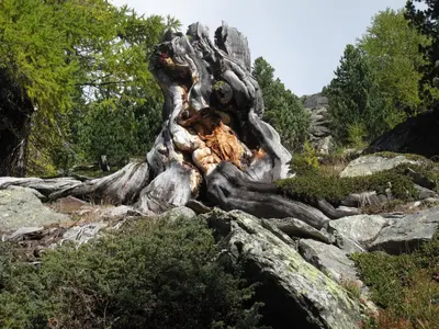 Naturlandschaft in der Nähe der Ferienwohnung