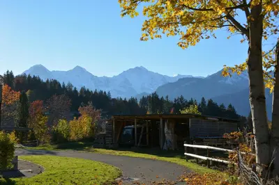 Naturlandschaft in der Nähe der Ferienwohnung