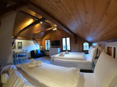 Ein Bett oder Betten in einem Zimmer der Unterkunft Panorama Apartment