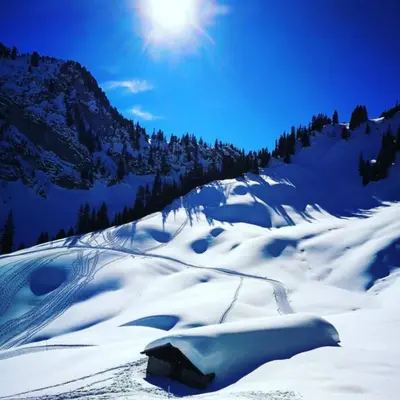 Lake Thun Alps Scenic Views and Concierge by SwissHut im Winter
