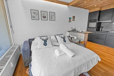 Küche/Küchenzeile in der Unterkunft Studio chalet rénové au centre de la ville