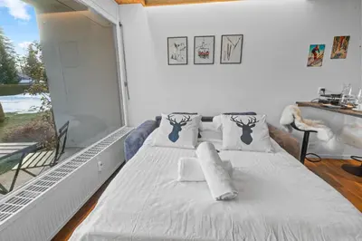 Ein Bett oder Betten in einem Zimmer der Unterkunft Studio chalet rénové au centre de la ville