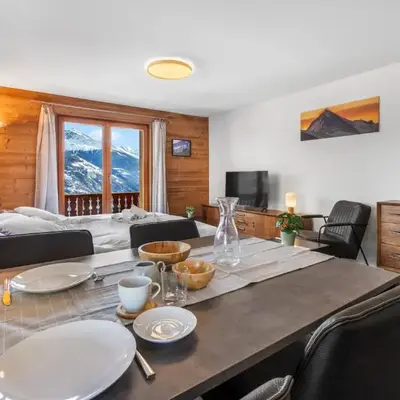 Appartement ski aux pieds - domaine des 4 Vallées