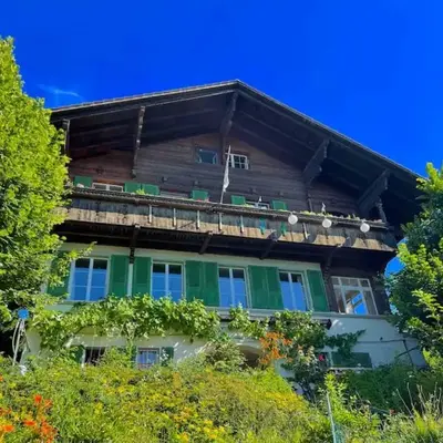 Lake Thun Alps Scenic Views and Concierge by SwissHut