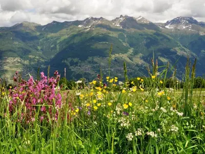 Naturlandschaft in der Nähe der Ferienwohnung