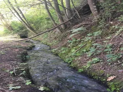 Naturlandschaft in der Nähe der Ferienwohnung