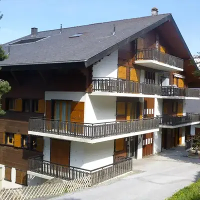 Apartment in Nendaz near Ski Lift