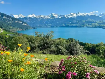 Naturlandschaft in der Nähe der Ferienwohnung
