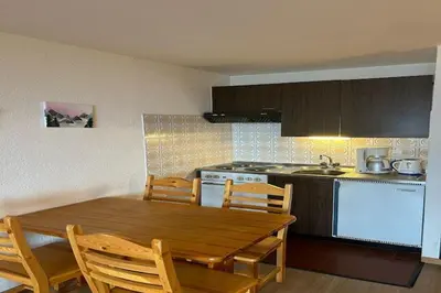 Küche/Küchenzeile in der Unterkunft Apartment near Piste des Mayens ski-slope