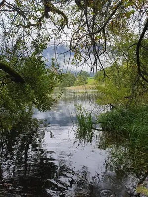 Naturlandschaft in der Nähe des Ferienhauses