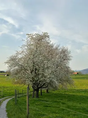 Naturlandschaft in der Nähe des Ferienhauses
