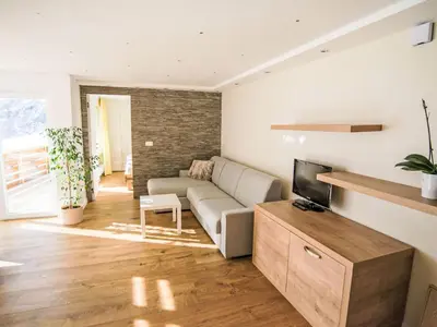TV/Unterhaltungsangebot in der Unterkunft Apartment Cristal-9 by Interhome