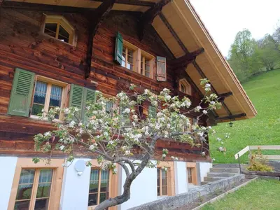 Ein Garten an der Unterkunft Dorfblick