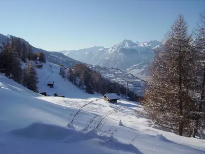 Mayens de l Ours CZ 031 - MOUNTAIN apartment 6 per im Winter