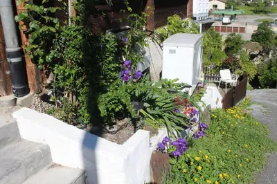 Ein Garten an der Unterkunft Chalet Chinegga