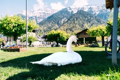 Naturlandschaft in der Nähe der Ferienwohnung
