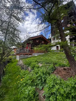 Ein Garten an der Unterkunft Grange de Fonville - Evolène - Valais