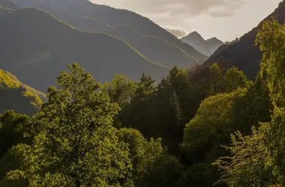 Naturlandschaft in der Nähe der Ferienwohnung