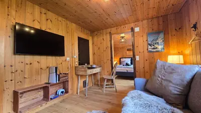 TV/Unterhaltungsangebot in der Unterkunft Alpine Loft, Central, Balcony, Parking, Family,PS5