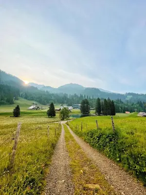 Naturlandschaft in der Nähe der Ferienwohnung