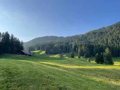 Naturlandschaft in der Nähe der Ferienwohnung