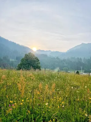 Naturlandschaft in der Nähe der Ferienwohnung