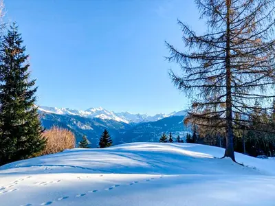 Naturlandschaft in der Nähe des Ferienhauses