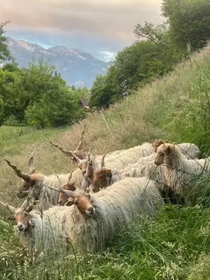 Naturlandschaft in der Nähe der Ferienwohnung