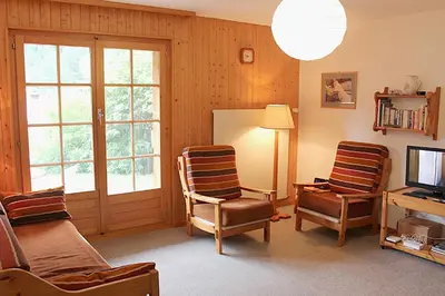 TV/Unterhaltungsangebot in der Unterkunft Bel Alp 2 Appartement avec jardin Evolene