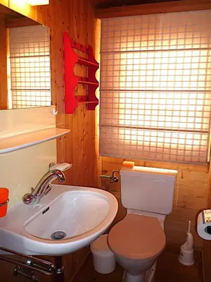 Ein Badezimmer in der Unterkunft Chalet Le Recoulet 4 personnes - Evolene