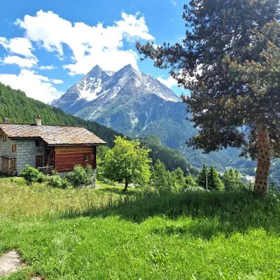 Naturlandschaft in der Nähe des Chalets