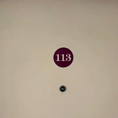 Fortuna 113