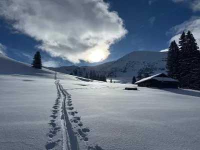Chalet Schneelöwe im Winter