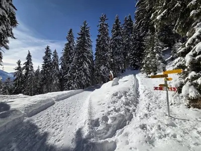 Chalet Ski in&out im Winter